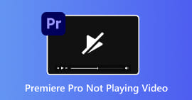 Premiere Pro no reproduce vídeo