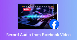 Record Audio From Facebook Video