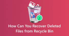 Recuperar archivos borrados de las Windows de la papelera de reciclaje