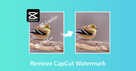 Remove Capcut Watermark