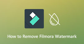 Eliminar la marca de agua Filmora del video