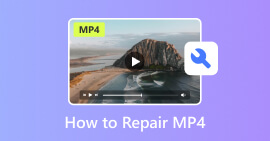 Reparar MP4