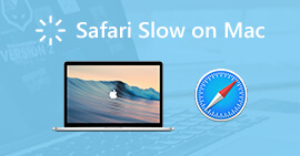 Safari lento en Mac
