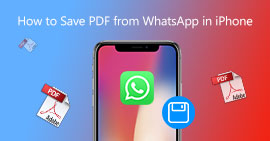Cómo guardar PDF de WhatsApp en iPhone