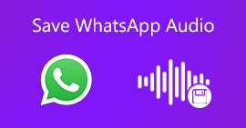 Guardar el audio de WhatsApp