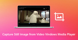 Captura de pantalla en Windows Media Player