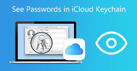 Ver contraseñas en iCloud KeyChain