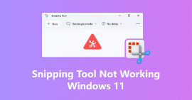 La herramienta de recorte no funciona en Windows 11
