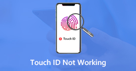 Touch ID no funciona