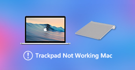 Trackpard no funciona en Mac