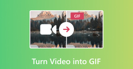 Convertir vídeo en GIF