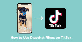Usa los filtros de Snapchat en TikTok