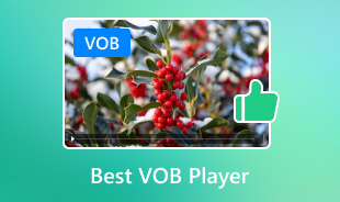 Cómo reproducir archivos VOB con VOB Player