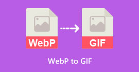 WEBP a GIF