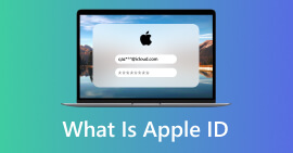 ¿Qué es una identificación de Apple?