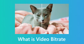 ¿Qué es la tasa de bits de vídeo?