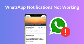 La notificación de WhatsApp no ​​funciona