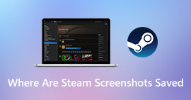 ¿Dónde se guardan las capturas de pantalla de Steam?