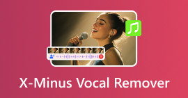 Eliminador de voz X Minus