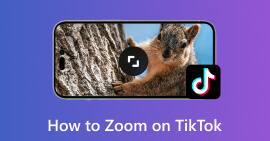 Zoom en TikTok