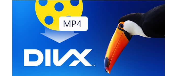 MP4 a DivX