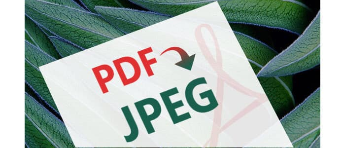 PDF a JPEG