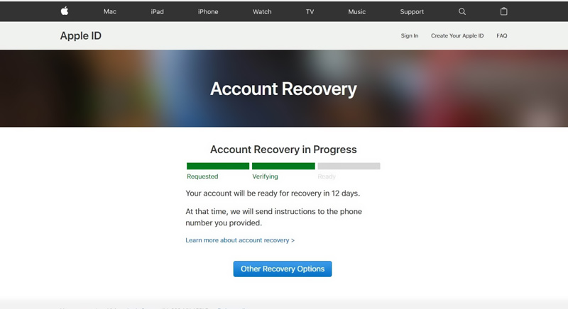 Estado de recuperación de ID de Apple