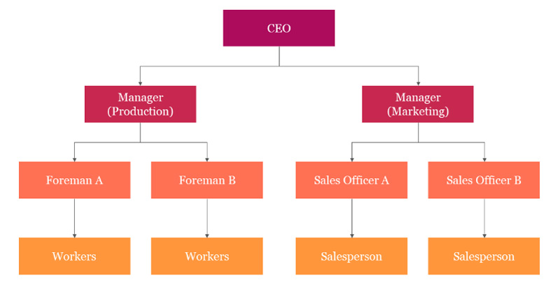 Estructura del organigrama