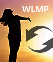 Convierta WLMP a WMV, MP4, AVI, MOV, FLV, MP3, etc.