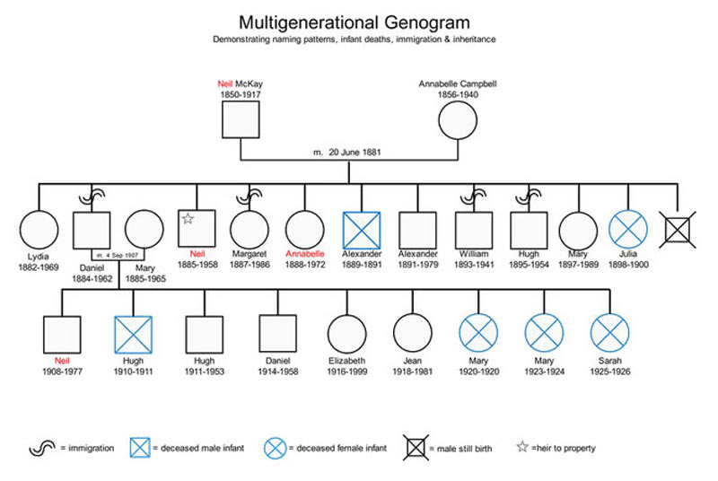 ¿Qué es un genograma?