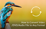 Cómo convertir archivos de video/DVD/audio a cualquier formato