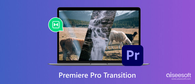 Transición a Premiere Pro