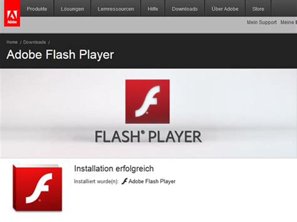Reproductor Flash