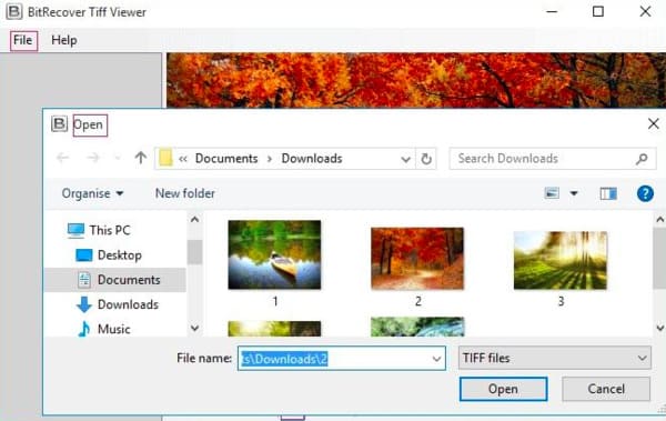 Tiff Viewer gratuito para Windows y Mac
