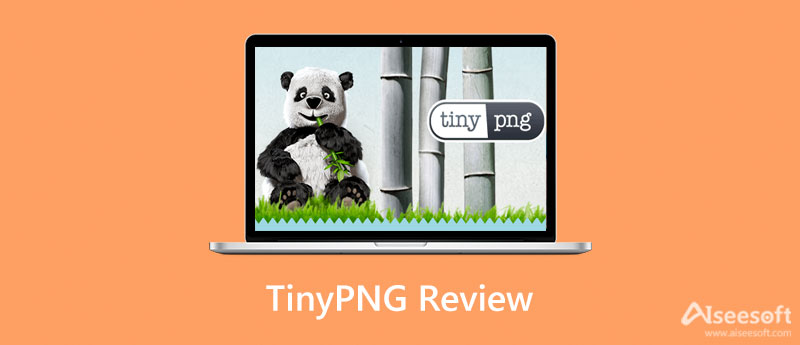Revisión de TinyPNG