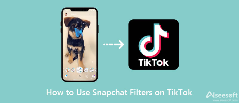 Usa los filtros de Snapchat en TikTok