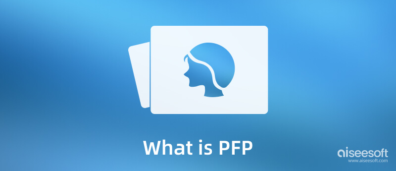 ¿Qué es PFP?