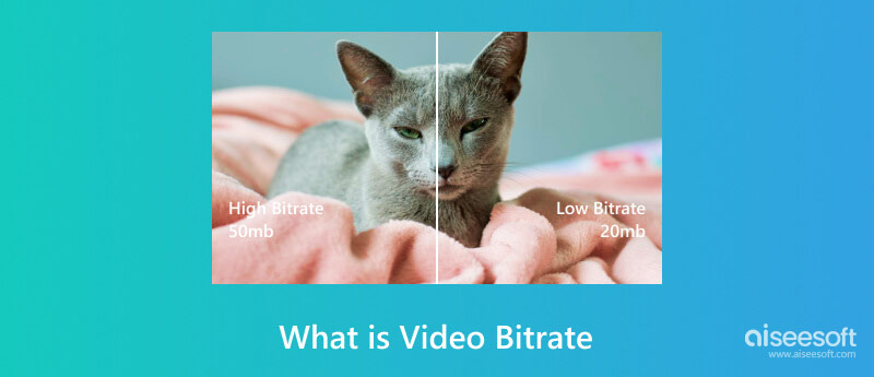 ¿Qué es la tasa de bits de vídeo?