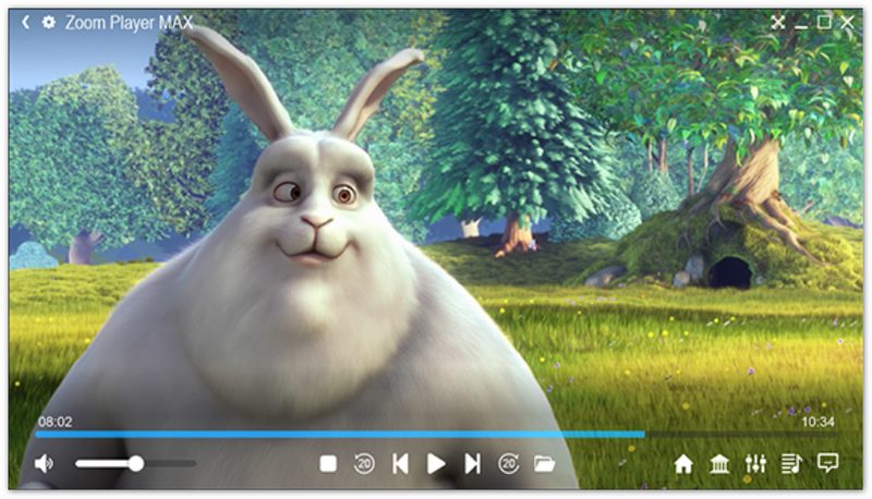 Zoom Player