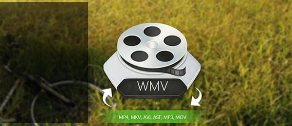 Convertir archivo WMV