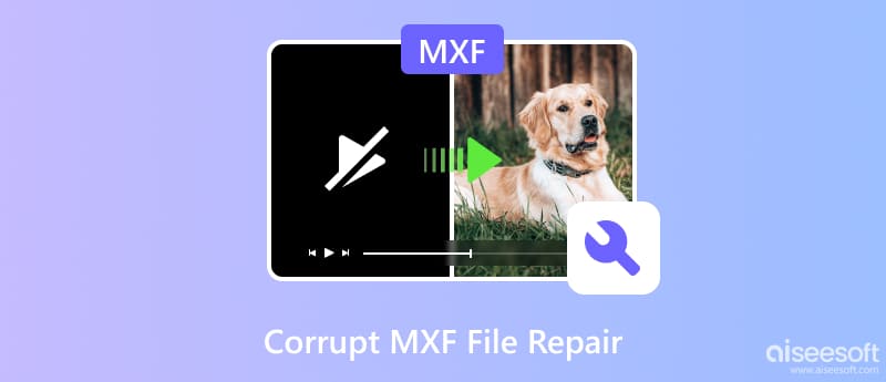 Reparación de archivos MXF corruptos