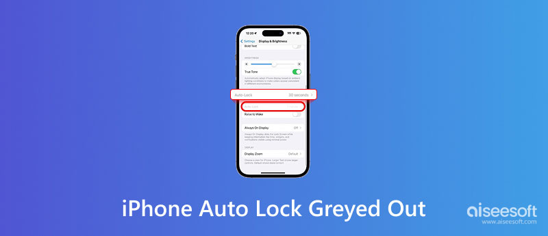iPhone Auto Lock Greyed Out