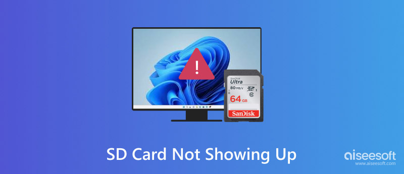 SD Card Not Showing Up