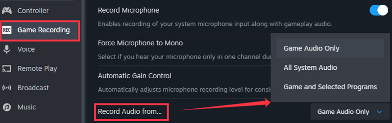 Configuración de grabación de juegos de Steam Grabar audio desde