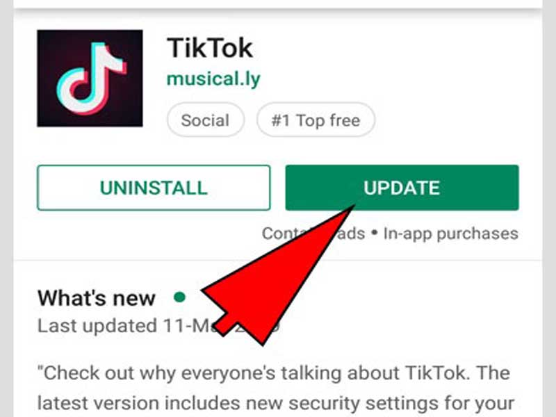 Actualizar la aplicación TikTok