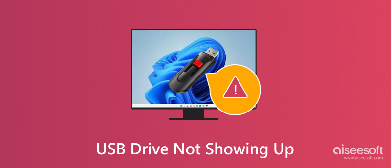 La unidad USB no aparece