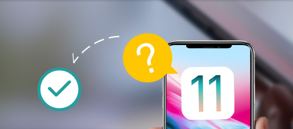 11 iOS actualización