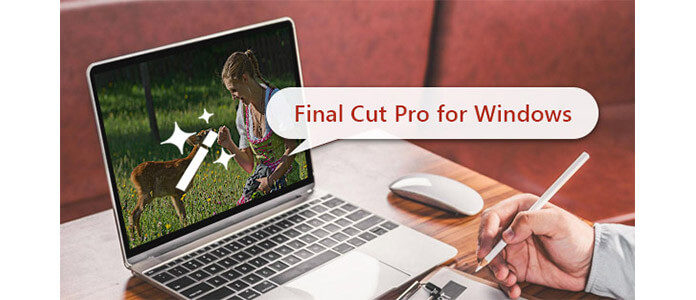 Windows de Final Cut Pro