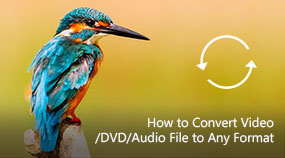 Convertir video/DVD/archivo de audio