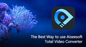 Utilice Aiseesoft Total Video Converter